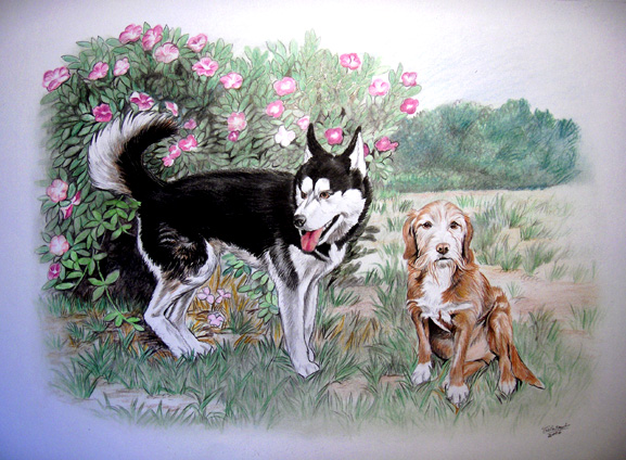 dessin au crayon de couleur de 2 chiens