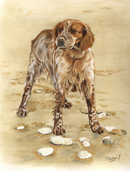 aquarelle d'un chien