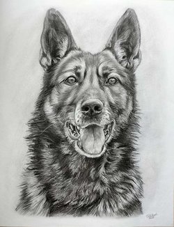 portrait au crayon d'un enfant